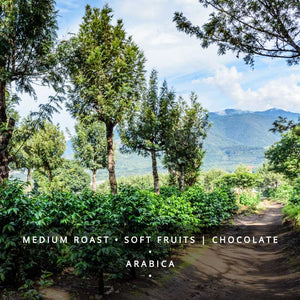 Mondo Novo Medium Roast Coffee Blend-Medium Roast