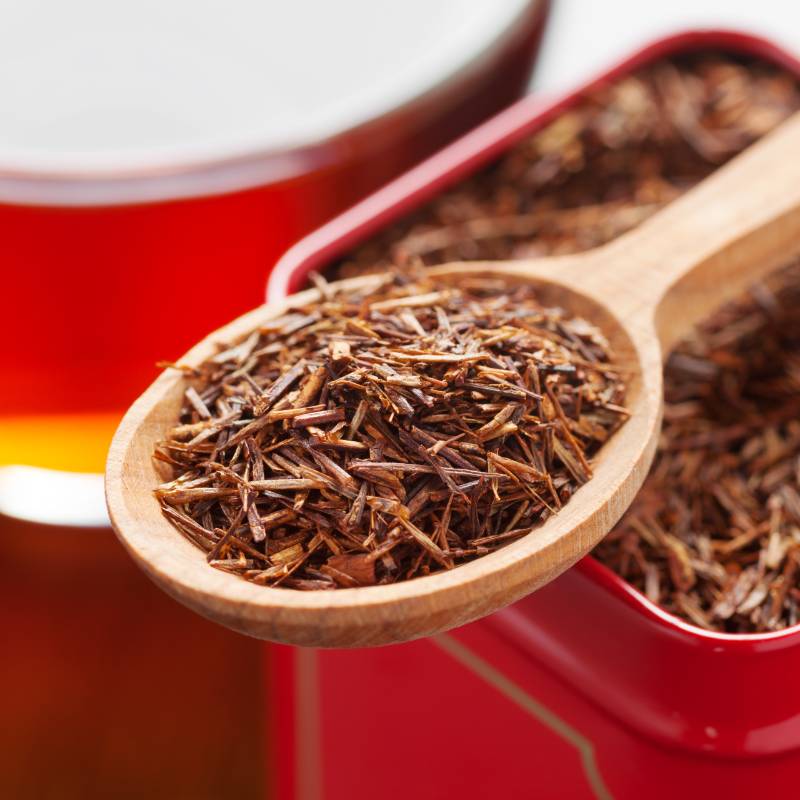 What is rooibos?
