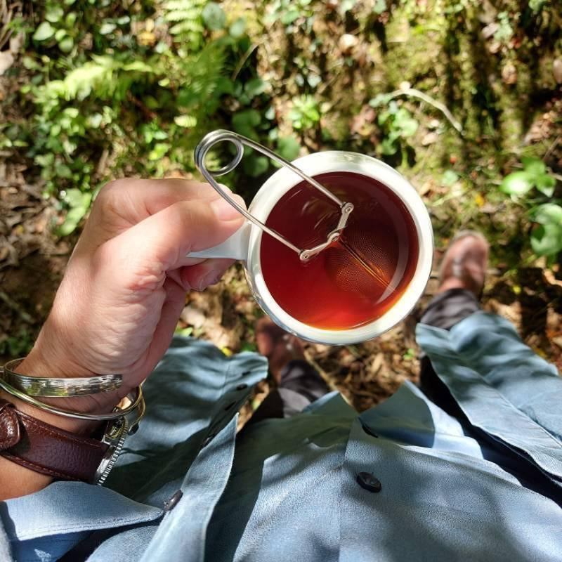 Choosing the best tea infuser