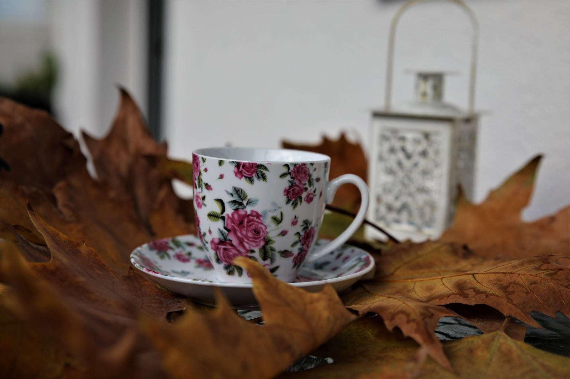 Autumn leaves... and autumn teas!