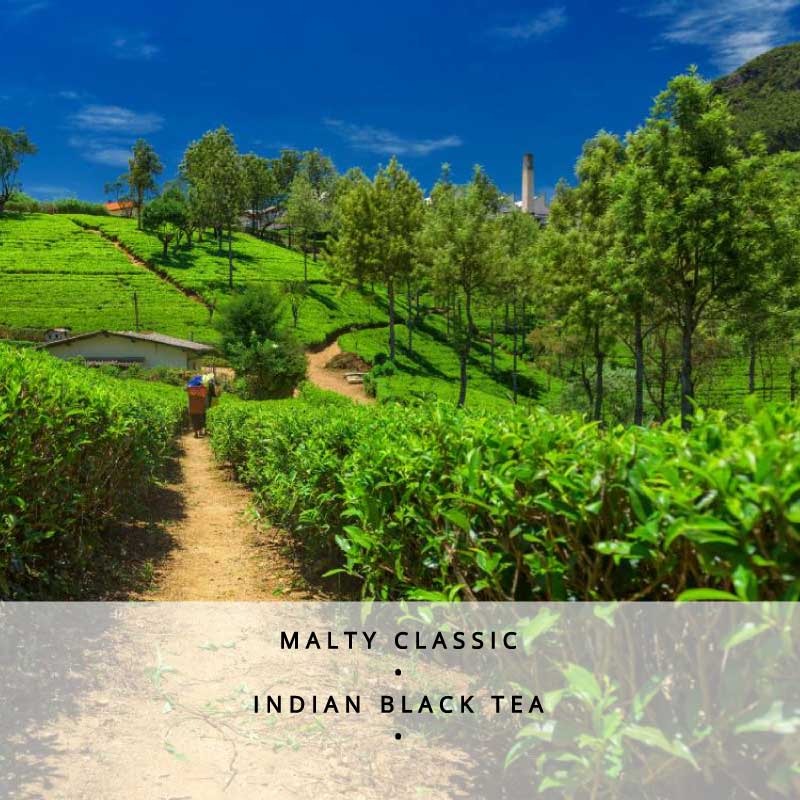 Assam Leaf Loose Leaf Black Tea