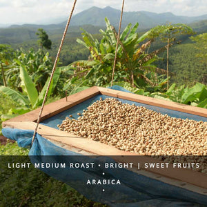 Kenya Zawadi Peaberry Coffee Single Origin Beans -Light Medium Roast