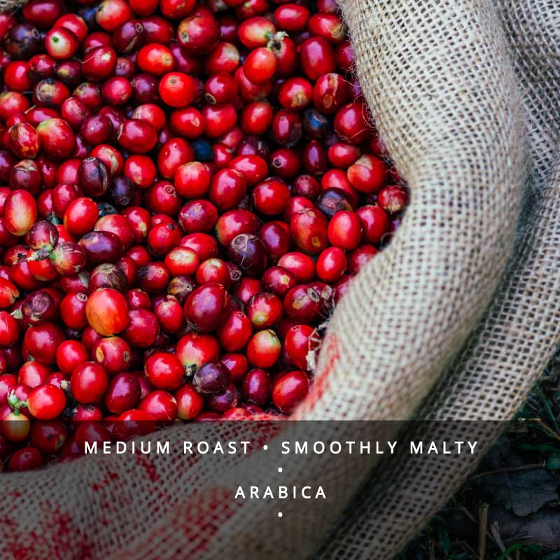 Monsoon Malabar Coffee Single Origin Beans -Medium Roast