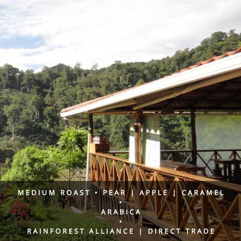 Nicaraguan Coffee Single Origin Beans-Medium Roast