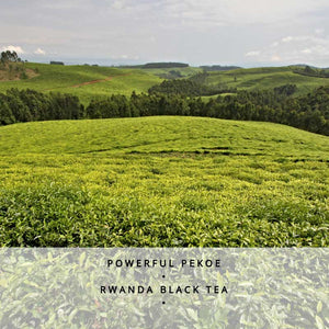 Rwanda Rukeri Loose Leaf Black Tea 